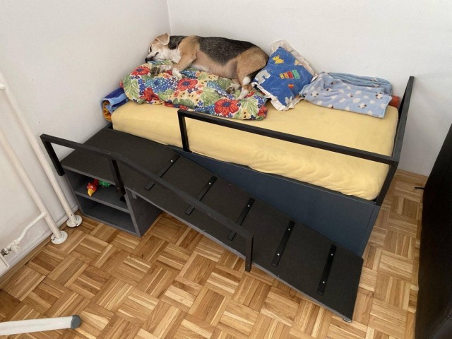 Зверушки