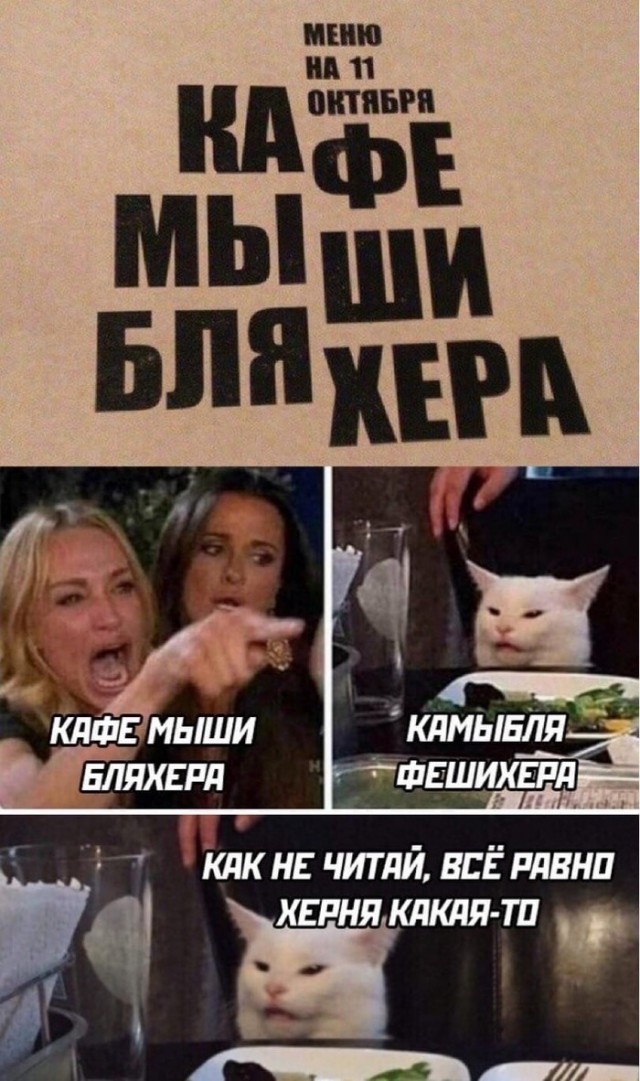 Прошёл целый год! А они всё орут на бедного котика