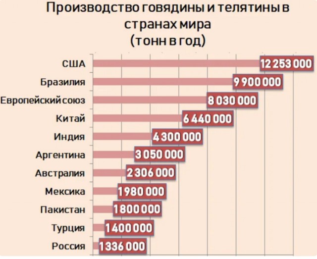Лица Индии
