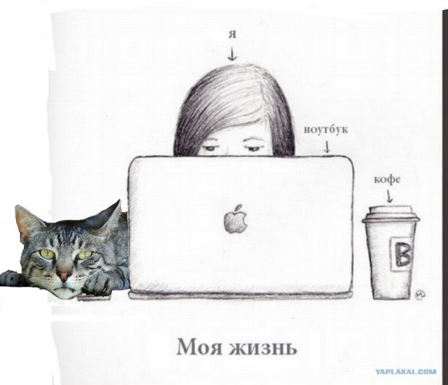 Жж мой день