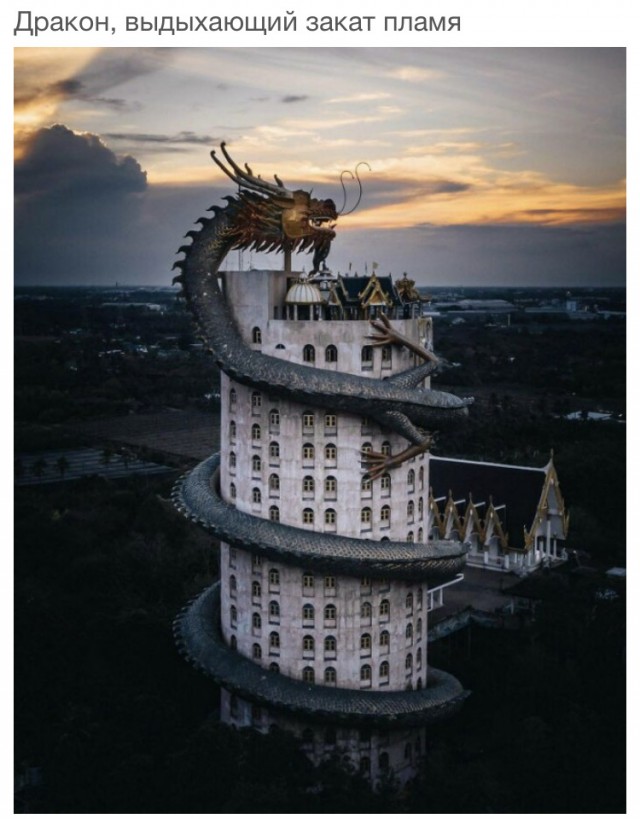 19 идеальных фотографий, на которых всё сошлось как надо и это совершенство 200 уровня