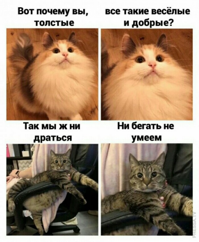 Картинки с надписями и всякие жизненные фразы 25.05.21