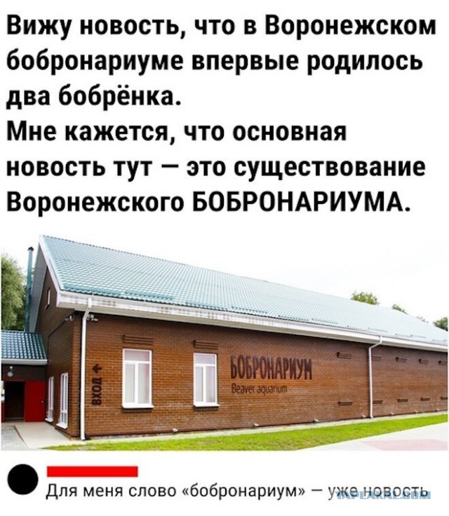 Немного картинок разной степени новизны и адекватности - 11