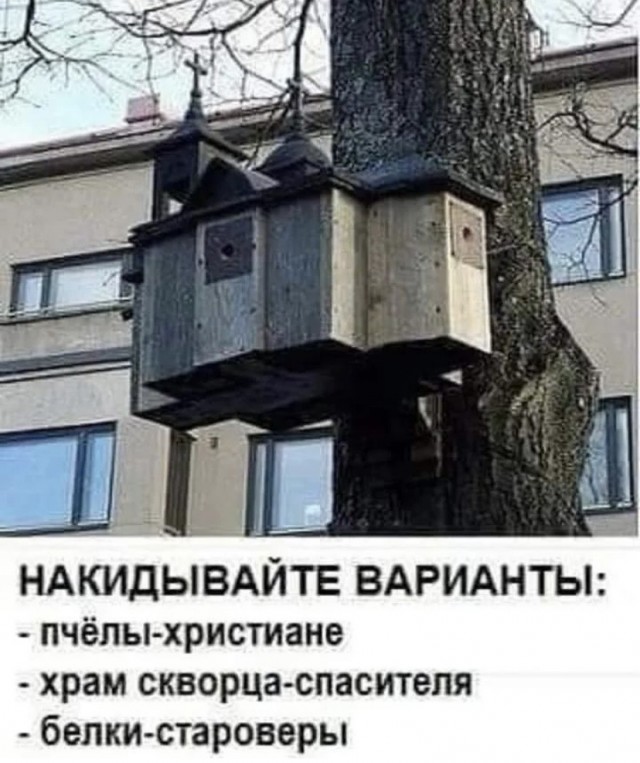 Так себе картинки 28.10.21