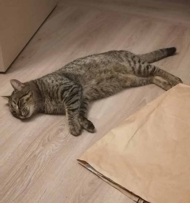 Однажды в студёную зимнюю пору