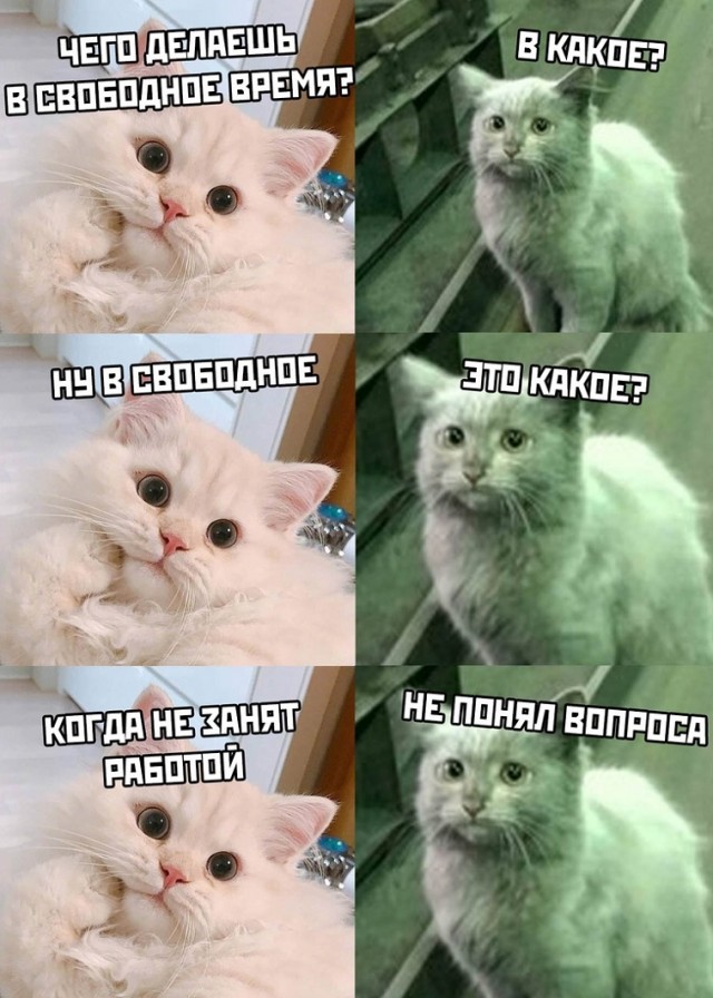 Картинки и буквы 15.07.22