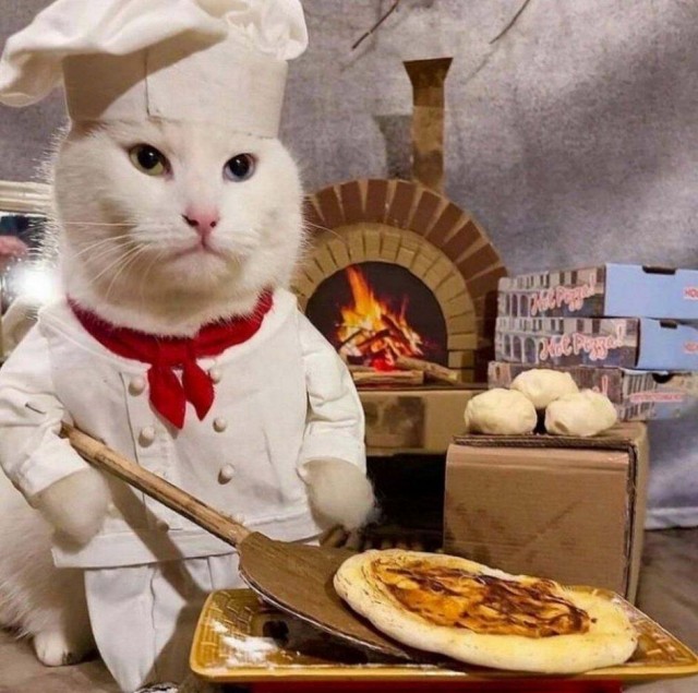 Картинки и мемы, всем отличных выходных