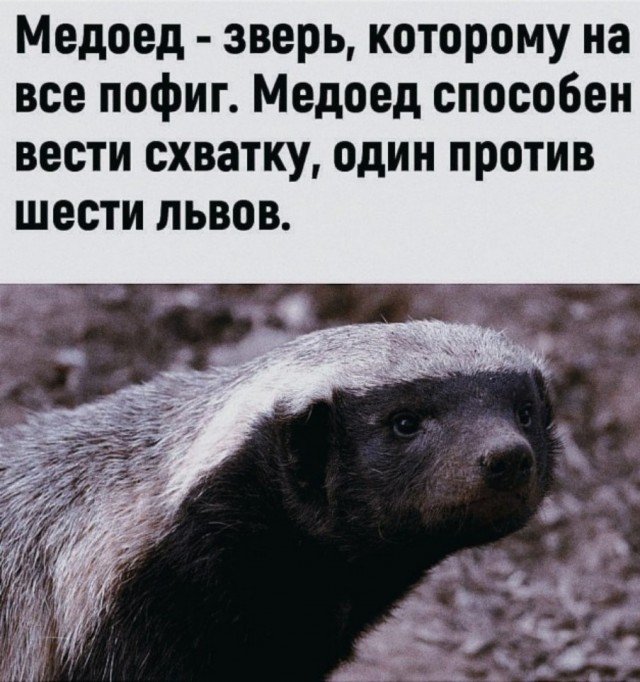 Так себе картинки 01.05.22