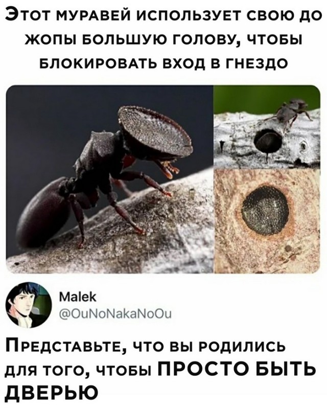 Так себе картинки 07.05.22