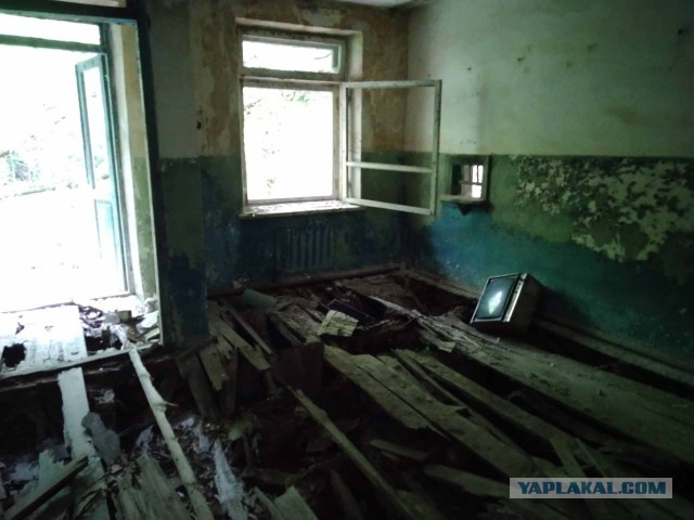 Зона отчуждения. Полесский радиационно-экологический заповедник. д.Погонное (Хойникский р-н, Гомельская обл)