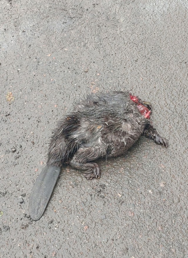 Секса больше у нас не будет