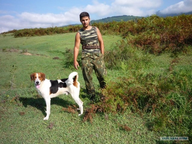 Абхазия там где....