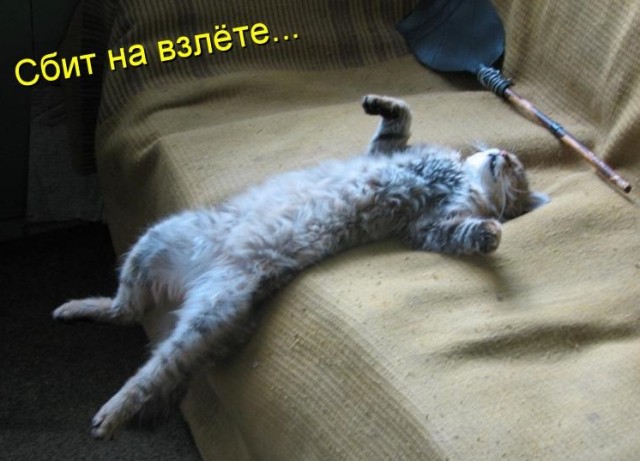 Квадроцараптер