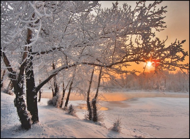 Прикольные и просто красивые картинки 06.12.2022