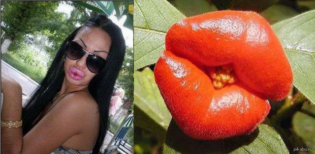 Свекровь подговаривает мужа сделать тест ДНК нашему сыну. Боюсь результата, так как есть грешок