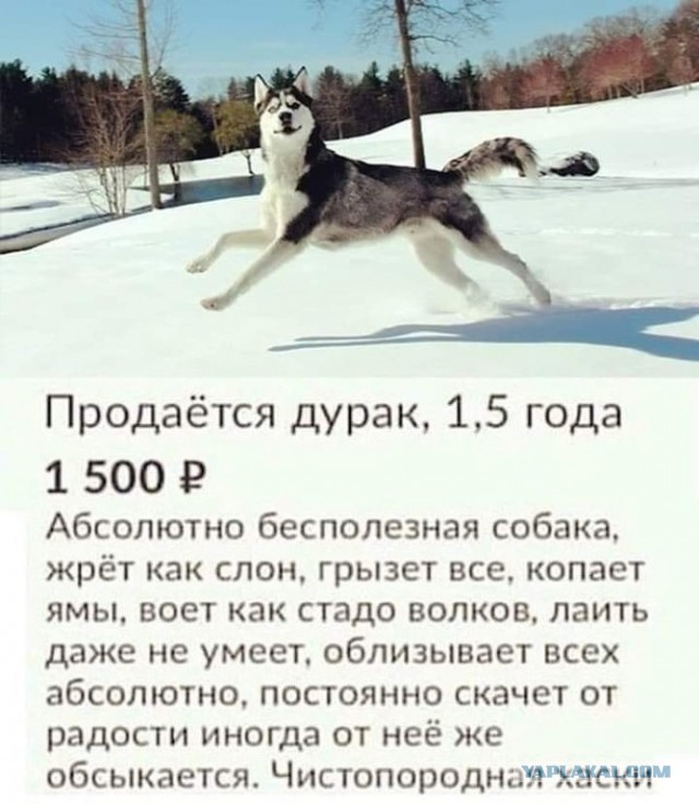 Такая вот беда у человека