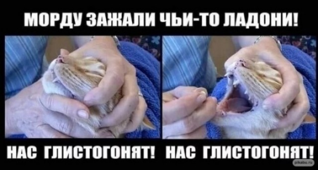 Мне 52, и я  до сих пор помню, кого там не догонят