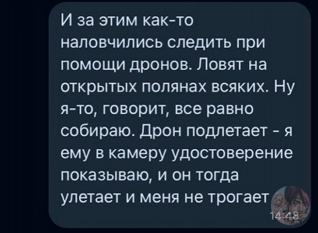 Картинки и мемы. Выходные близко...