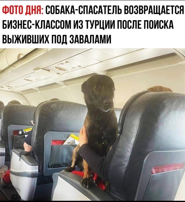 Картинки и мемы, всем хороших выходных