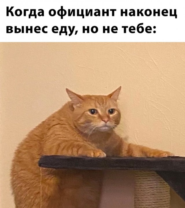 Всем хороших выходных - картинки, мемы и т.п.