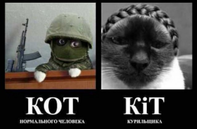 Шерстяной боец)