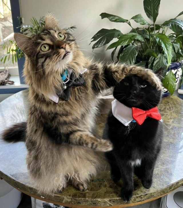 Подборка интересных и прикольных фото из Сети 01.04.23