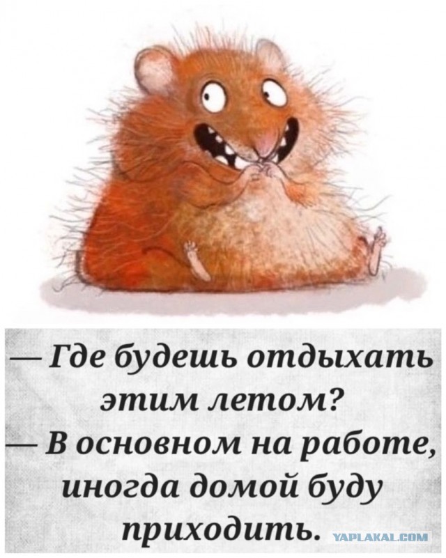 Секс без обязательств НА САМОМ ДЕЛЕ