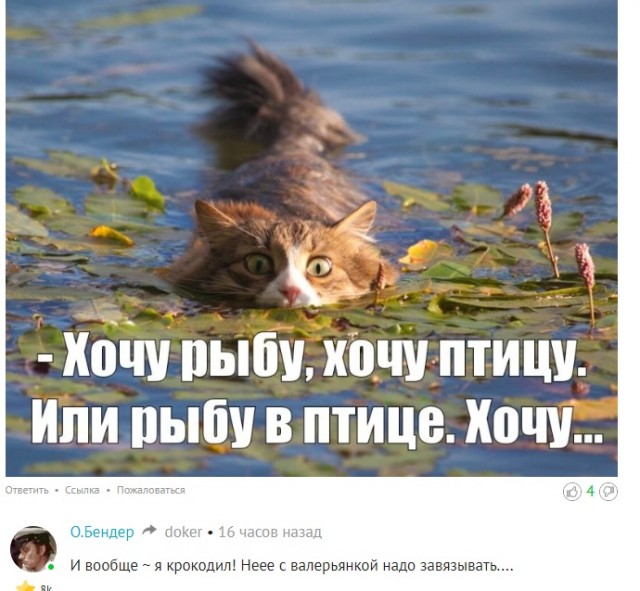 Всякая картиночная хня