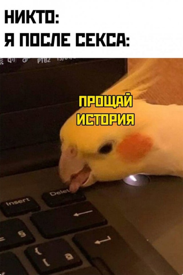 Юмор в картинках и без