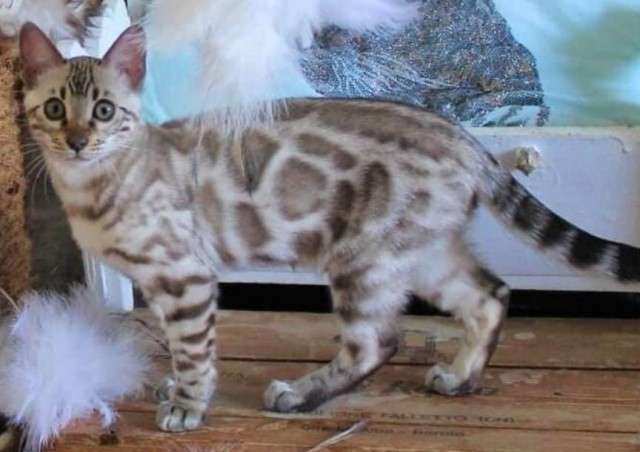 Помогите назвать