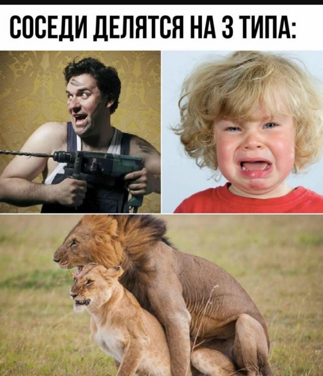 Весёлый червонец.