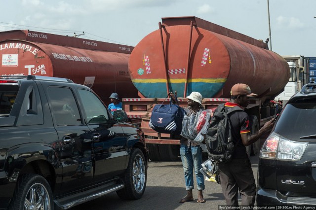 Только крокодилы спасут эту страну от мудаков!