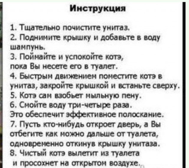 Безопасная мойка кошки