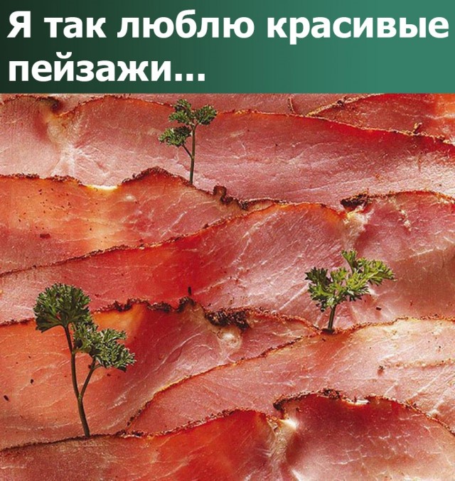 ФотоВинегрет