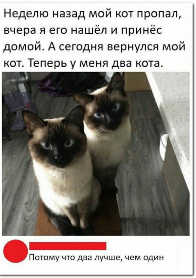Забавные комментарии из социальных сетей (06.05.24)