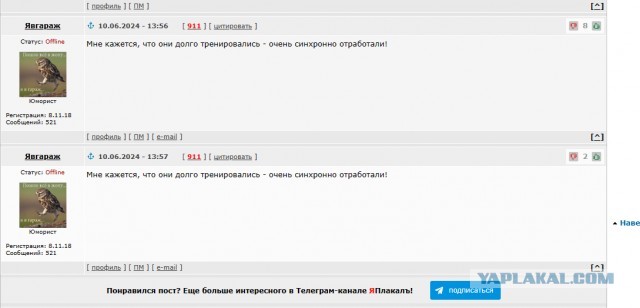 Ленты для лохов натягивают