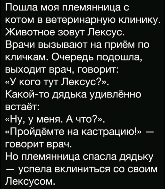 Так себе картинки 12.06.24