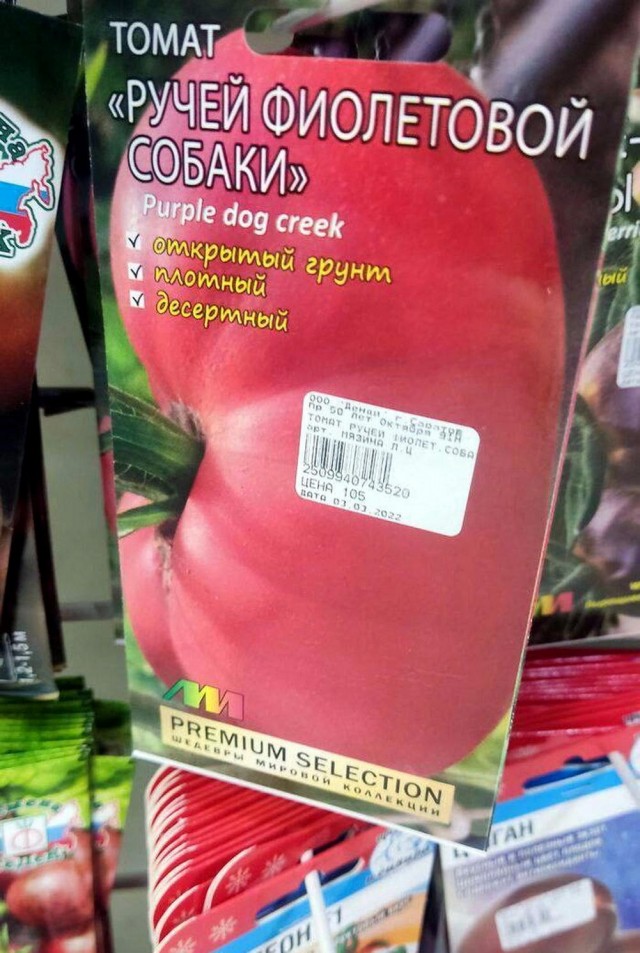Нуштош 26.06.2024