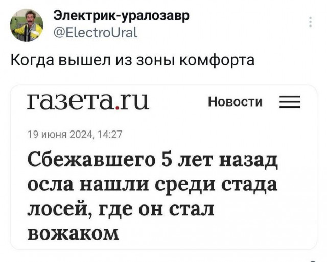 Всего понемногу. От 29.06.2024