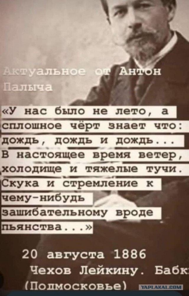 Немного забавных картинок от 22.08.2024