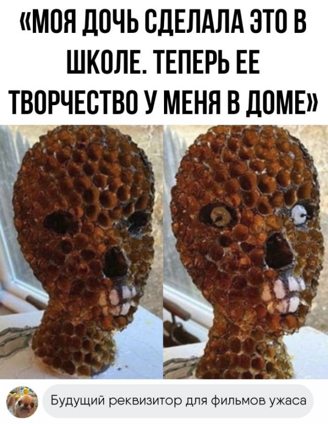 Веселые картинки к понедельнику (23.09)