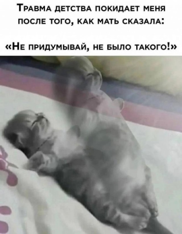 "Меня в детстве лупили и ничего, нормальным вырос"