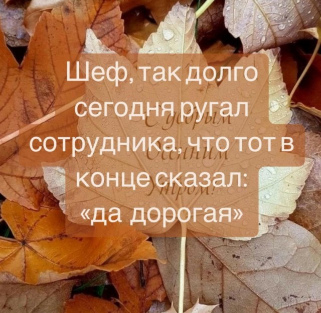 Картинок лопата