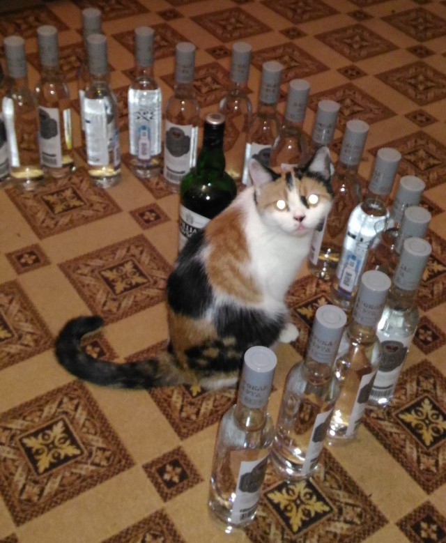 С пятницей, джентльмены!