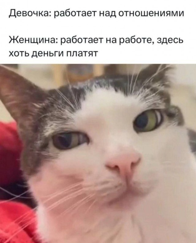 Картинков разных вам