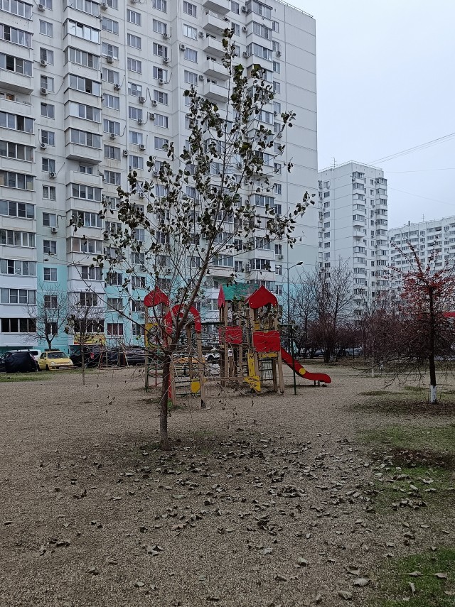 Покажите вашу зиму