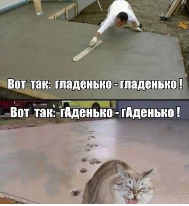 Картинки разные с надписями и без