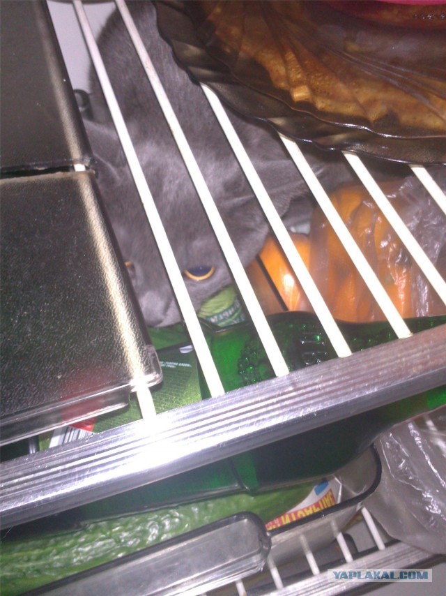 Охлажденное мясо