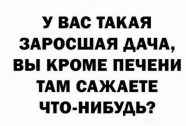 Так себе картинки 31.03.25