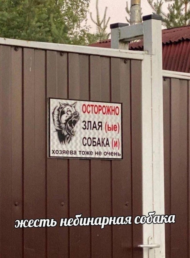 Хотели настоящую Белоснежку?